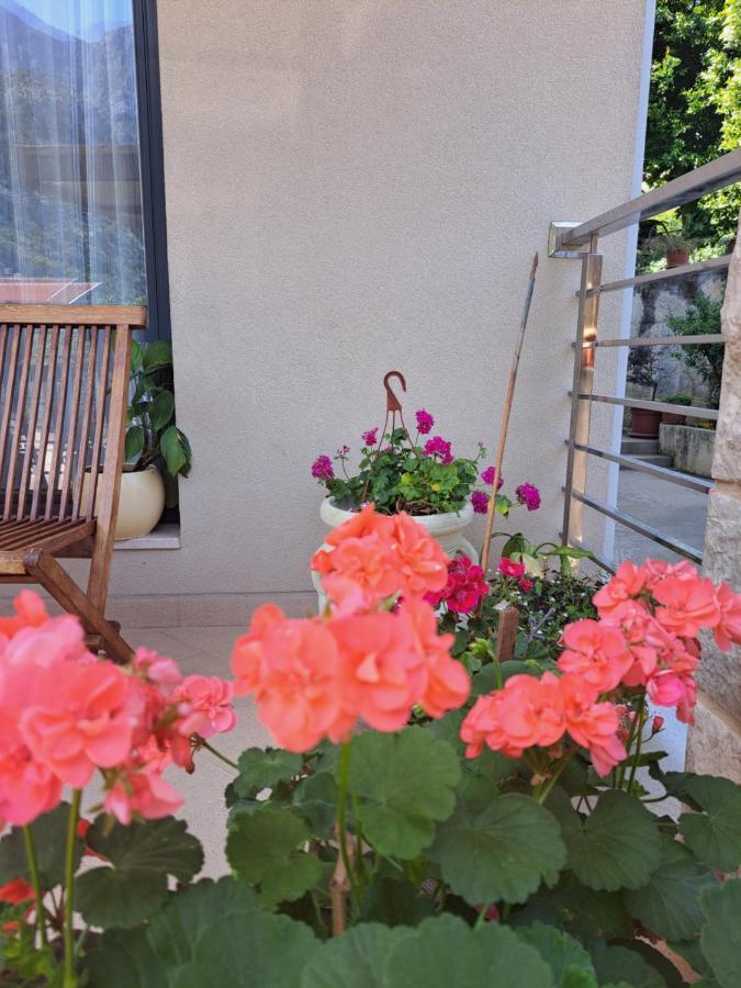 Apartment Benvenuti Kotor Eksteriør billede